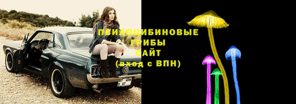 соль ск Пролетарск