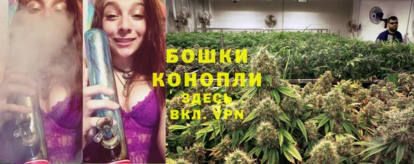 соль ск Пролетарск
